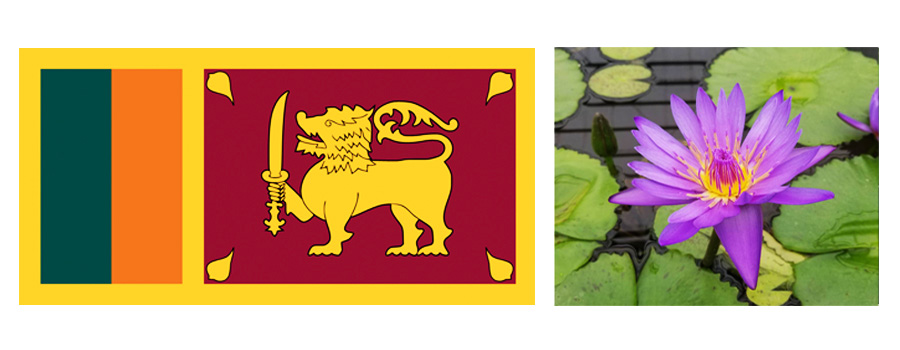 スリランカ国旗